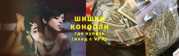 крисы Аркадак