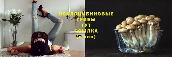 прущий лед Арсеньев