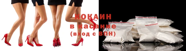 крисы Аркадак