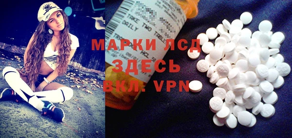 крисы Аркадак